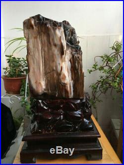 39.3kg Natural Petrified Wood Fossil Jade crystal specimen #1