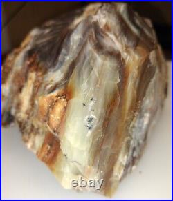3LB 1oz RARE UV AAA Opalized Petrified Wood Rough From Blue Mountains, OR #600