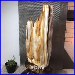 3.18kg Top Natural Petrified Wood jade polished decoration 420mm A1861