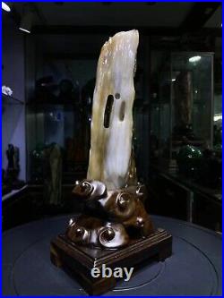 3.19LB Natural Petrified wood quartz crystal decoration point wand healing+stand