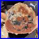 3_1LB_Rare_red_Natural_petrified_wood_rough_Wood_fossil_mineral_specimen_healing_01_ups