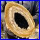 3_25LB_Large_natural_Petrified_wood_crystal_fossil_piece_sample_restoration_01_bu