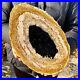 3_25LB_Large_natural_Petrified_wood_crystal_fossil_piece_sample_restoration_01_zy