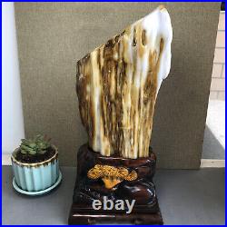 3.2kg Top Natural Petrified Wood Fossil Jade Polished crystal Healing specimen