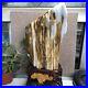 3_2kg_Top_Natural_Petrified_Wood_Fossil_Jade_Polished_crystal_Healing_specimen_01_mcbu