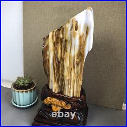 3.2kg Top Natural Petrified Wood Fossil Jade Polished crystal Healing specimen