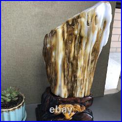 3.2kg Top Natural Petrified Wood Fossil Jade Polished crystal Healing specimen