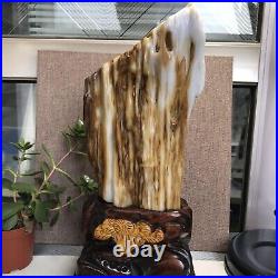 3.2kg Top Natural Petrified Wood Fossil Jade Polished crystal Healing specimen