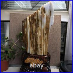 3.2kg Top Natural Petrified Wood Fossil Jade Polished crystal Healing specimen