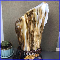 3.2kg Top Natural Petrified Wood Fossil Jade Polished crystal Healing specimen