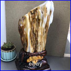 3.2kg Top Natural Petrified Wood Fossil Jade Polished crystal Healing specimen