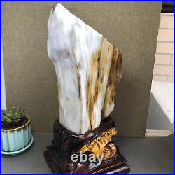 3.2kg Top Natural Petrified Wood Fossil Jade Polished crystal Healing specimen