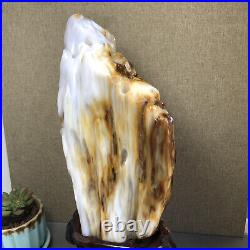 3.2kg Top Natural Petrified Wood Fossil Jade Polished crystal Healing specimen