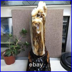 3.2kg Top Natural Petrified Wood Fossil Jade Polished crystal Healing specimen