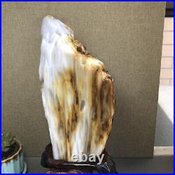 3.2kg Top Natural Petrified Wood Fossil Jade Polished crystal Healing specimen