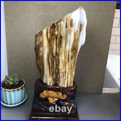 3.2kg Top Natural Petrified Wood Fossil Jade Polished crystal Healing specimen