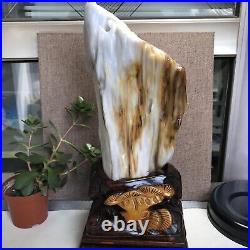 3.2kg Top Natural Petrified Wood Fossil Jade Polished crystal Healing specimen