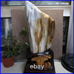 3.2kg Top Natural Petrified Wood Fossil Jade Polished crystal Healing specimen