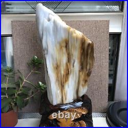 3.2kg Top Natural Petrified Wood Fossil Jade Polished crystal Healing specimen