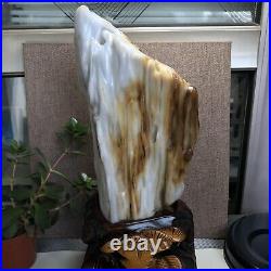 3.2kg Top Natural Petrified Wood Fossil Jade Polished crystal Healing specimen