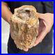 3_2lb_Rare_Natural_petrified_wood_rough_Wood_fossil_mineral_specimen_healing_01_kbdp