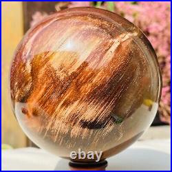 3.36LB Large Natural Petrified Wood Crystal Fossil Sphere Specimen Healing