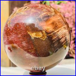 3.36LB Large Natural Petrified Wood Crystal Fossil Sphere Specimen Healing