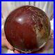 3_3lb_Beautiful_Large_Petrified_Wood_Fossil_Sphere_Crystal_Home_Decor_Specimen_01_zff