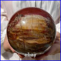 3.3lb Beautiful Large Petrified Wood Fossil Sphere Crystal Home Decor Specimen