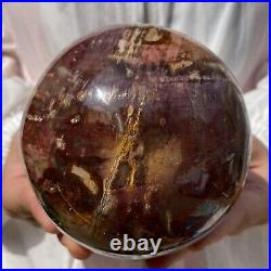 3.3lb Beautiful Large Petrified Wood Fossil Sphere Crystal Home Decor Specimen