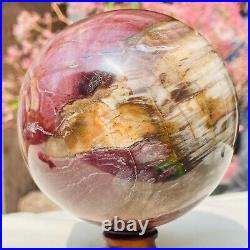 3.46lb Large Natural Petrified Wood Crystal Fossil Sphere Specimen Healing