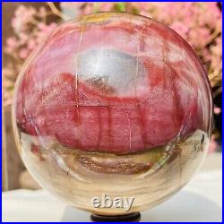 3.46lb Large Natural Petrified Wood Crystal Fossil Sphere Specimen Healing