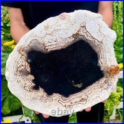 3.4LB Large Natural Petrified Wood Crystal Fossil Slice Shape Specimen Healing 3.4LB Large Natural Petrified Wood Crystal Fossil Slice Shape Specimen Healing