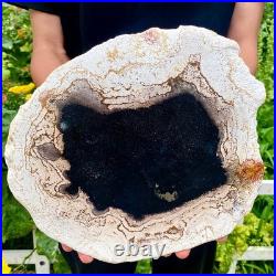 3.4LB Large Natural Petrified Wood Crystal Fossil Slice Shape Specimen Healing 3.4LB Large Natural Petrified Wood Crystal Fossil Slice Shape Specimen Healing