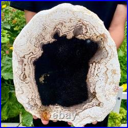 3.4LB Large Natural Petrified Wood Crystal Fossil Slice Shape Specimen Healing 3.4LB Large Natural Petrified Wood Crystal Fossil Slice Shape Specimen Healing