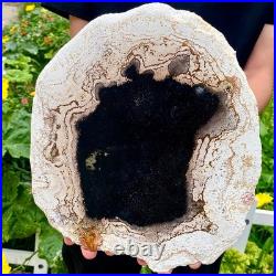 3.4LB Large Natural Petrified Wood Crystal Fossil Slice Shape Specimen Healing 3.4LB Large Natural Petrified Wood Crystal Fossil Slice Shape Specimen Healing