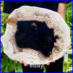 3.4LB Large Natural Petrified Wood Crystal Fossil Slice Shape Specimen Healing 3.4LB Large Natural Petrified Wood Crystal Fossil Slice Shape Specimen Healing