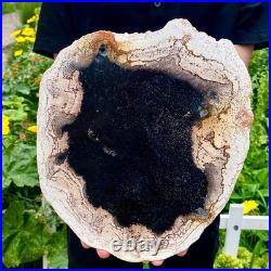 3.4LB Large Natural Petrified Wood Crystal Fossil Slice Shape Specimen Healing 3.4LB Large Natural Petrified Wood Crystal Fossil Slice Shape Specimen Healing