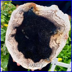 3.4LB Large Natural Petrified Wood Crystal Fossil Slice Shape Specimen Healing 3.4LB Large Natural Petrified Wood Crystal Fossil Slice Shape Specimen Healing