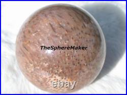 3.4 Petrified Palm Wood Sphere Rare Fossil Ball Louisiana USA