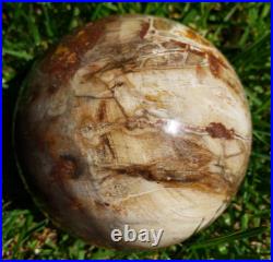 3.4 Petrified Wood Sphere Orb Quartz Crystal Ball Fossil Mineral UV, 874g 3.4 Petrified Wood Sphere Orb Quartz Crystal Ball Fossil Mineral UV, 874g