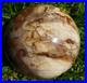 3_4_Petrified_Wood_Sphere_Orb_Quartz_Crystal_Ball_Fossil_Mineral_UV_874g_01_pa
