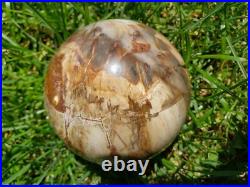 3.4 Petrified Wood Sphere Orb Quartz Crystal Ball Fossil Mineral UV, 874g 3.4 Petrified Wood Sphere Orb Quartz Crystal Ball Fossil Mineral UV, 874g