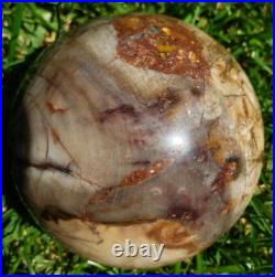3.4 Petrified Wood Sphere Orb Quartz Crystal Ball Fossil Mineral UV, 874g 3.4 Petrified Wood Sphere Orb Quartz Crystal Ball Fossil Mineral UV, 874g