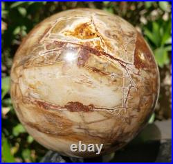 3.4 Petrified Wood Sphere Orb Quartz Crystal Ball Fossil Mineral UV, 874g 3.4 Petrified Wood Sphere Orb Quartz Crystal Ball Fossil Mineral UV, 874g