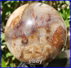 3.4 Petrified Wood Sphere Orb Quartz Crystal Ball Fossil Mineral UV, 874g 3.4 Petrified Wood Sphere Orb Quartz Crystal Ball Fossil Mineral UV, 874g