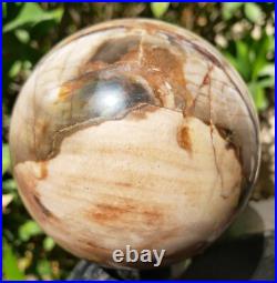 3.4 Petrified Wood Sphere Orb Quartz Crystal Ball Fossil Mineral UV, 874g 3.4 Petrified Wood Sphere Orb Quartz Crystal Ball Fossil Mineral UV, 874g