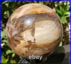 3.4 Petrified Wood Sphere Orb Quartz Crystal Ball Fossil Mineral UV, 874g 3.4 Petrified Wood Sphere Orb Quartz Crystal Ball Fossil Mineral UV, 874g