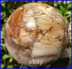 3.4 Petrified Wood Sphere Orb Quartz Crystal Ball Fossil Mineral UV, 874g 3.4 Petrified Wood Sphere Orb Quartz Crystal Ball Fossil Mineral UV, 874g