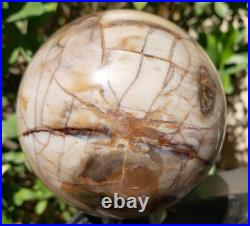 3.4 Petrified Wood Sphere Orb Quartz Crystal Ball Fossil Mineral UV, 874g 3.4 Petrified Wood Sphere Orb Quartz Crystal Ball Fossil Mineral UV, 874g